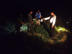 Tanaman Jagung di Temyang Bojonegoro Dirusak Orang Tak Dikenal