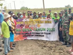 Anggota Koramil 0812/07 Bluluk Dampingi Kegiatan Padat Karya Tunai Desa Talunrejo