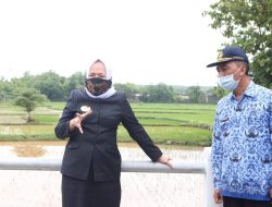 Pasca Banjir Bupati Bojonegoro Lakukan Sidak di Desa Kunci