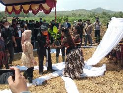 Pemkab Ponorogo Kembangkan Pisang Cavendish Untuk Tingkatkan Kesejahteraan Petani