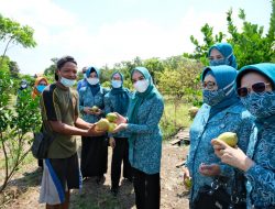 Angkat Tema Agrowisata dan Edukasi, Sidoarjo Optimis Menang Di Lomba Desa Se-Jatim