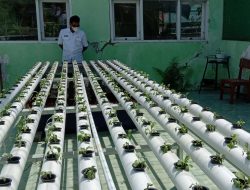 SMPN Negeri 4 Bojonegoro Terima Kunjungan Tim Studi Tiru Adiwiyata SMPN 1 Kapas Dan SMPN 3 Baureno