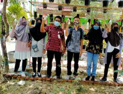 Hasil Karya Siswa SMPN 1 Kapas SUSI PERKASA Mendapatkan Penghargaan dari Ditjen Kemendikbud