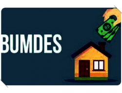 Sudah Ditetapkan, Begini Sanksi Bagi Desa yang tidak Lakukan Penyertaan Modal untuk BUMDes