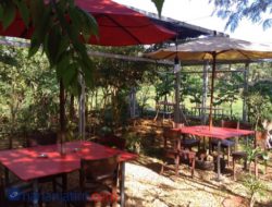 Kembang Kopi, Asyik Nongkrong Bareng dengan Nuansa Alam Asri Khas Pedesaan