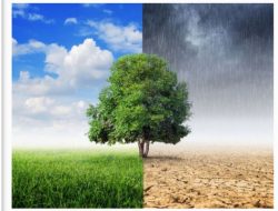 Kenali Jenis Penyakit dan Tips Menjaga Tubuh Tetap Sehat di Musim Pancaroba