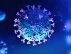 Satgas Covid-19 Jawa Timur Minta Warga Waspada Penyebaran Covid-19 Omicron