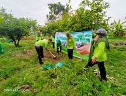 Jaga Lingkungan Hijau, Seluruh Guru dan Siswa/i SMPN 5 Bojonegoro Tanam Pohon