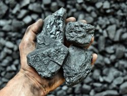 Pemerintah Indonesia Larang Ekspor Batu Bara