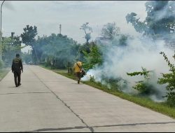 Antisipasi DBD, Pemdes Talok Bersinergi dengan Puskemas Kalitidu Laksanakan Fogging