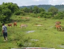 Anggota Dewan Sebut Lima Desa di Arjasa Ratusan Tahun Terisolasi