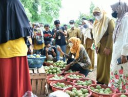 Gubernur Jatim Dorong Masyarakat Budidaya Srikaya Secara Modern