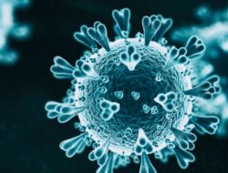 Masyarakat Diminta Waspadai Omicron Siluman