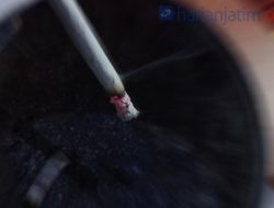 Cara Buat Pestisida Alami dari Puntung Rokok