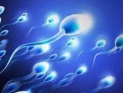 Kenali Ini Ciri Sperma yang Sehat untuk Mempercepat Kehamilan
