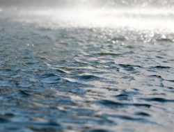 Perairan Jatim Besok Berpotensi Hujan Sedang hingga Lebat