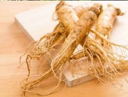 Kenali Manfaat Gingseng Korea, Salah Satunya Bisa Tingkatkan Stamina Pria