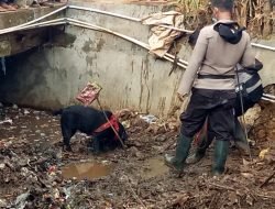 Mesteri Hilangnya Siswa SD di Sumenep Belum Terungkap, Anjing Pelacak Cium Bau Samaran