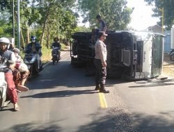Dikemudikan Mahasiswa, Mobil Box Terguling di Sumenep