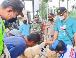 Cegah Virus PMK, Babinsa Kalitidu Bojonegoro dampingi Tim Puskeswan, Periksa Kesehatan Hewan Ternak