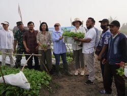 Bupati Bojonegoro Serahkan Bantuan Bibit Tembakau Di Desa Drokilo