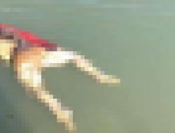 Sesosok Mayat Ditemukan Terapung di Perairan Saronggi