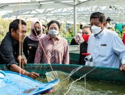 Kunker di Jatim,Puan Maharani Kunjungi kawasan green technology an innovation PDI Perjuangan di TPA Karangdiyeng Mojokerto