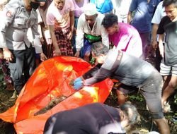 Cari Ular dan Musang, Warga Lenteng Temukan Kerangka Manusia di Kebun Jati