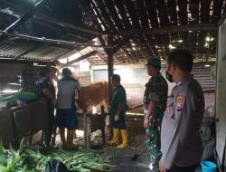 Jelang Hari Raya Kurban, Polres Bojonegoro Pantau dan Awasi Hewan Ternak