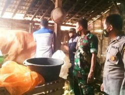 Babinsa Koramil Temayang Bojonegoro, laksanakan Pendampingan Vaksinasi Hewan Ternak