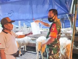 Pastikan Kesehatan Hewan Kurban, Babinsa Kodim Bojonegoro Cek Penjualan Hewan Kurban