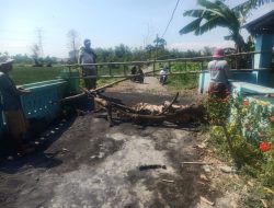 Jembatan di Banyuanyar Tengah Probolinggo Dibangun Dengan Swadaya