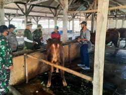 Babinsa Koramil Kanor Bojonegoro dampingi Petugas Vaksinasi Hewan Ternak