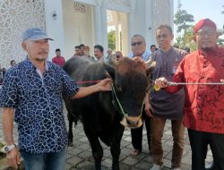 98 Hewan Kurban Disalurkan Said Abdullah Bersama Yayasan Fatimah Bin Said Gauzan dan DPC PDI Perjuangan