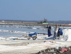 Harga Garam di Sumenep Tembus Rp1,3 Juta