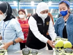 Gubernur Jatim Lepas Ekspor Sepatu Buatan PT. Dwi Prima Sentosa ke China