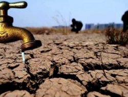 Hampir Semua Kecamatan di Pamekasan Terdampak Kekeringan