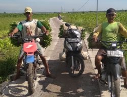 Pemkab Bojonegoro Bangun 83 Titik JUT, Tingkatkan Hasil Produksi Pertanian