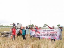 Semakin Dicinta, Petani di Tuban Yakin Prabowo Presiden 2024