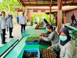 Tinjau Tempat KTT G20, Presiden: Kita Siap Menerima Tamu-Tamu G20