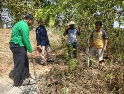 Peninjauan Lapangan, Pematokan Lahan, dan Pengukuran Tanah untuk RPH Banjarsari oleh BPN Tahun 2019