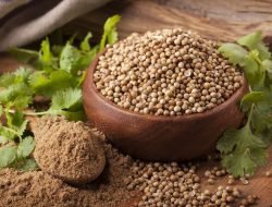 Bumbu Dapur Ini Miliki Banyak Khasiat, Salah Satunya Menjaga Kesehatan Jantung