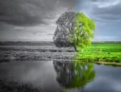 7 Makanan yang Bisa Meningkatkan Imun Tubuh di Musim Pancaroba