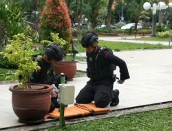 Granat Nanas Peninggalan Belanda Ditemukan di Balai Kota Surabaya