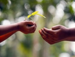 Menumbuhkan Kepedulian Terhadap Lingkungan Hidup Kepada Anak
