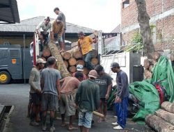 AMPL Anggap Tindakan Polisi Mengamankan Terduga Provokator Penebangan Liar di Banyuwangi Sudah Tepat