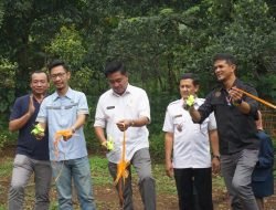 Hari Peduli Sampah Nasional 2023, Cempaka Foundation Resmikan Agropreneurship Learning Community dan Rumah Maggot Terpadu