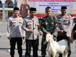 Idul Adha 1444 H Polres Tuban Distribusikan Hewan Kurban 3 Ekor Sapi dan 19 Ekor Kambing
