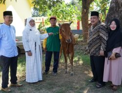 Rayakan Hari Raya Idul Adha, Pemkab Sumenep Bagikan Puluhan Ekor Hewan Kurban