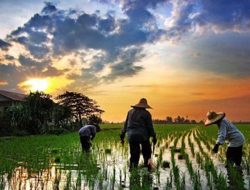 Terbebas dari Desa Tertinggal, Jumlah Desa Mandiri dan Maju di Sumenep Bertambah